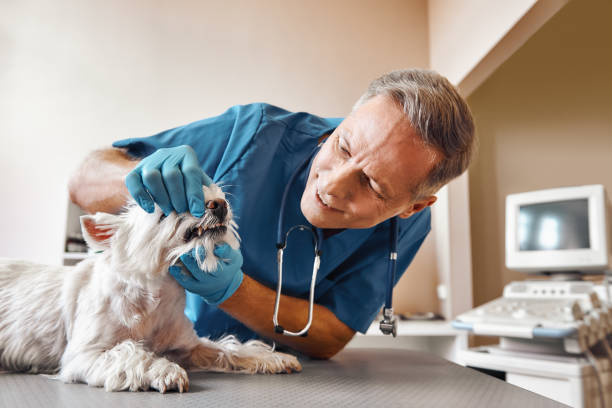 Best Broken Tooth Emergency  in Mustang, OK